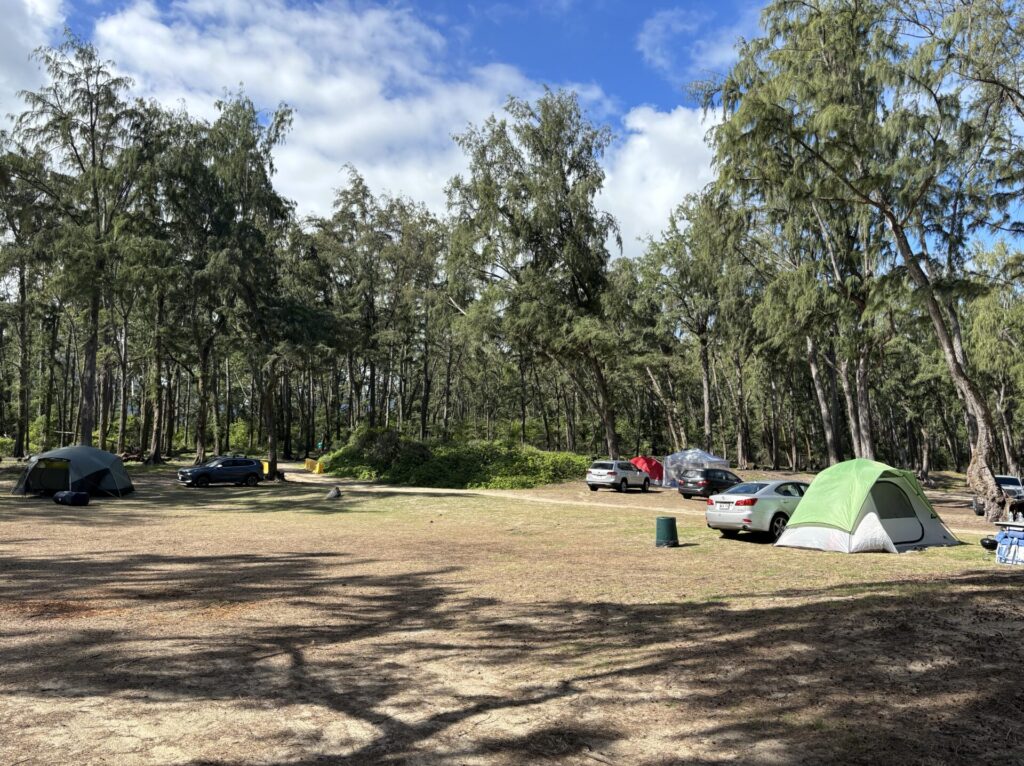 山側キャンプサイト